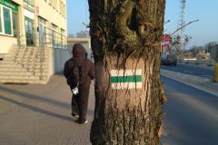 szlaki1