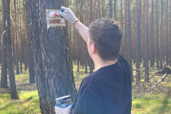 szlaki4